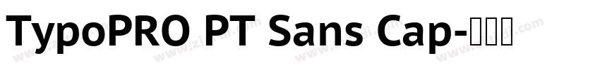 TypoPRO PT Sans Cap字体转换